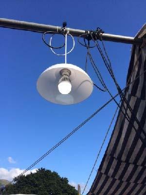 女青參與大澳太陽能發電試驗取得初步成果
