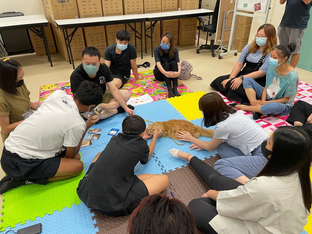 Youth found their worth through fighting for animal rights 